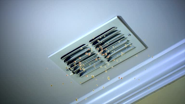 Best Home Air Vent Cleaning  in Lookout Mountain, AL